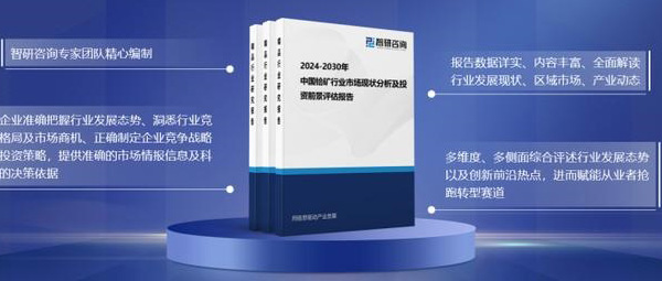  2024年中国铪矿行业市场全景调查及投资前景研究